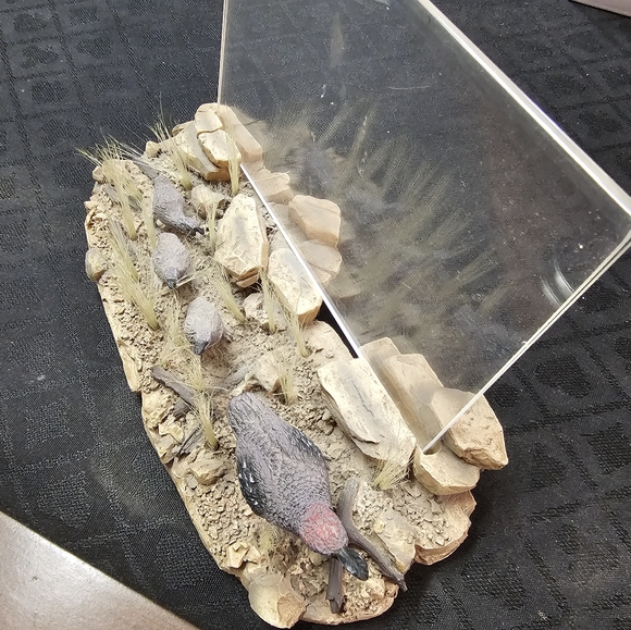 Arizona Highways Desert Acrylic Picture Frame - Picture 3 of 3